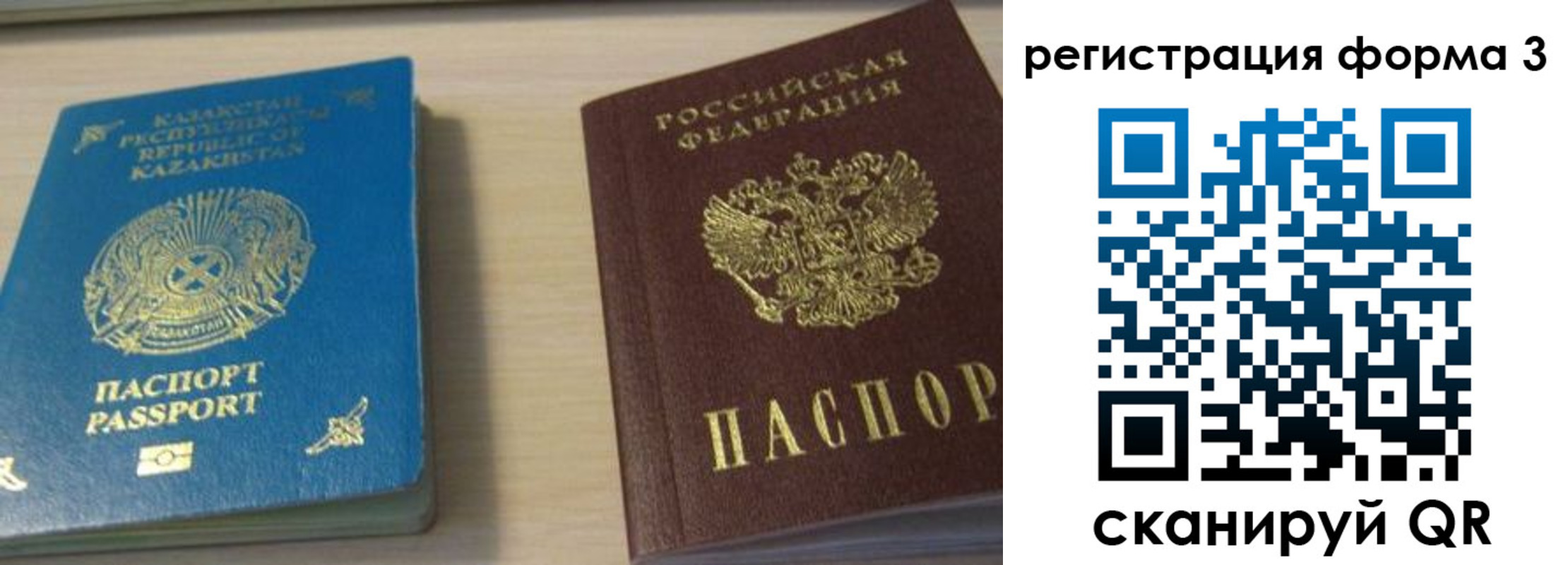 регистрация для дет. сада в Мурино